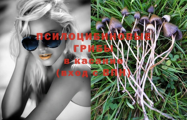 Альфа ПВП Зерноград