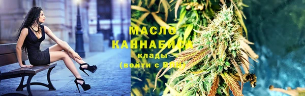 гидра Инсар