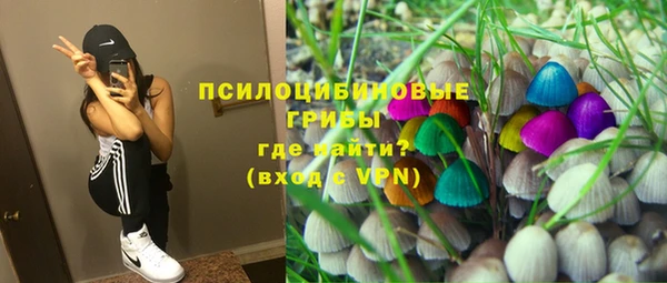 герыч Инта