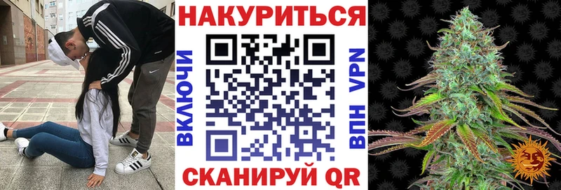 Купить где  Голицыно  Каннабис план 